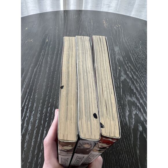 The Sacred Blacksmith Volume 2 5 6 English Manga Isao Miura - Picture 9 of 16